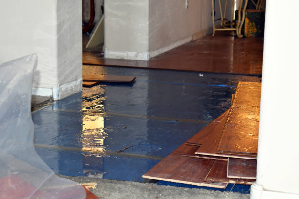 Professional Sewage Cleanup technician working in Lake Isabella, MI